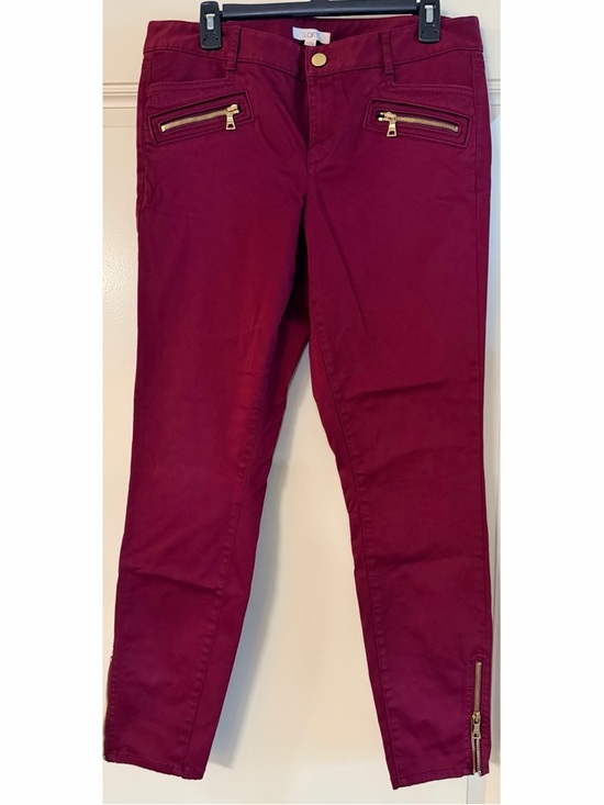 LOFT Pants - LOFT Women's Skinny Pants in Deep Wine with Gold Zippers